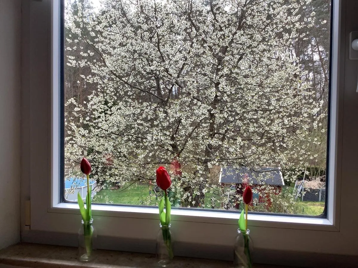 Ferienwohnung Schwarzachhoehe Nur Fuer Erwachsene Wendelstein 0*,
